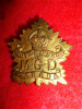28-3,  Boyle's Yukon Machine Gun Detachment Officer's Collar Badge